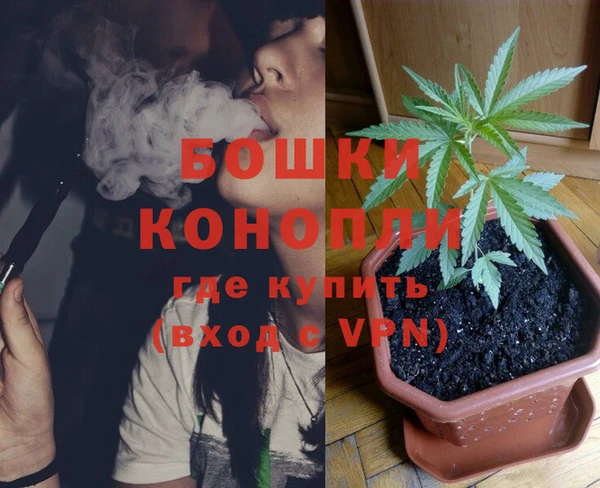 индика Балахна