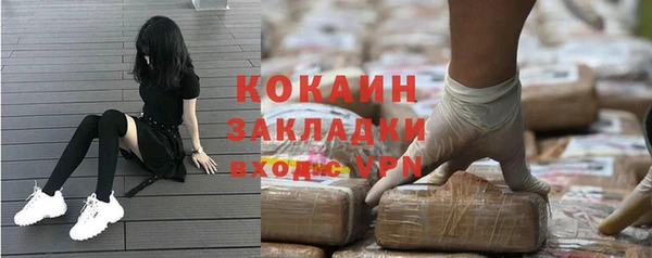 индика Балахна