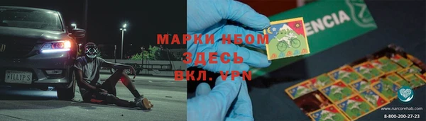индика Балахна