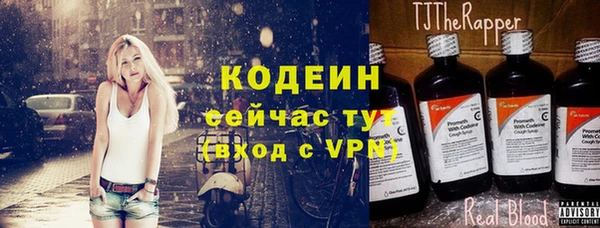хмурый Покачи