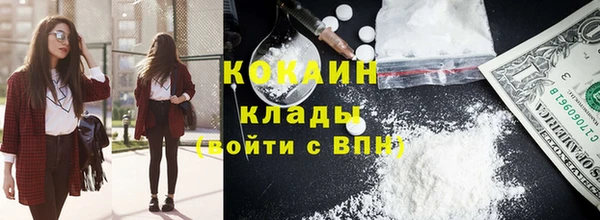 индика Балахна