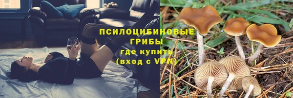 а пвп мука Балабаново